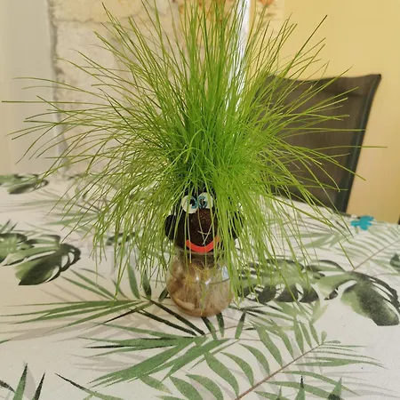 Lägenhet Petite Palace Fourka Chalkidiki Skála Foúrkas