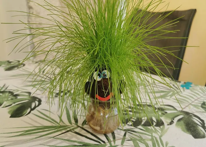 公寓 Petite Palace Fourka Chalkidiki Skála Foúrkas