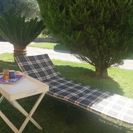 Petite Palace Fourka Chalkidiki *