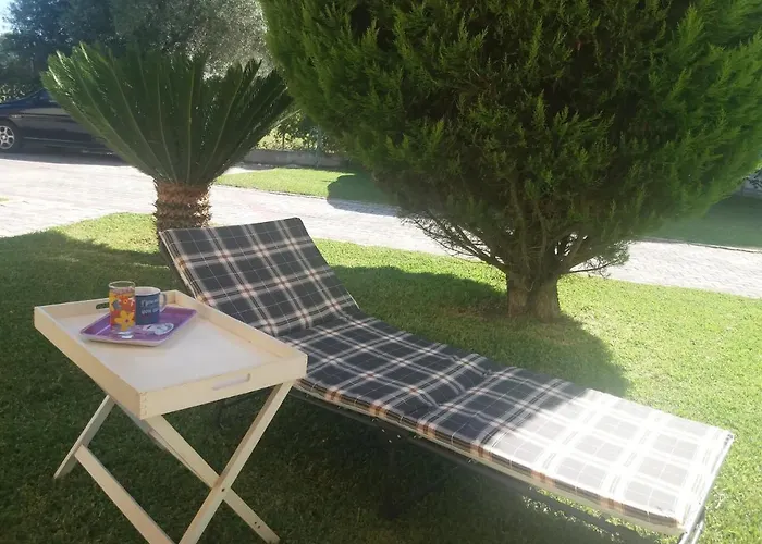 Petite Palace Fourka Chalkidiki *
